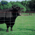 2.5mm 4ft 5ft 6ft 8ft altura Pasto valla cabra agricultura pastizales valla de campo barato